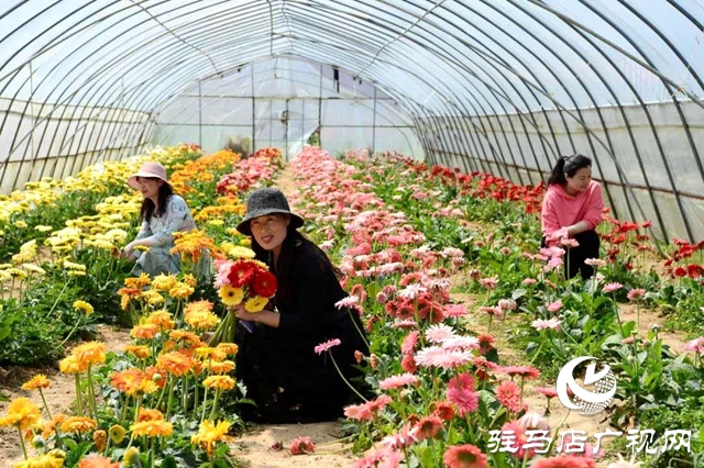 余长旺：下岗再创业，成就人生梦