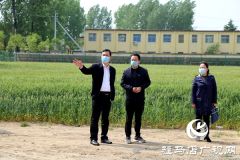 驻马店市司法局调研组到帮扶村助力脱贫攻坚