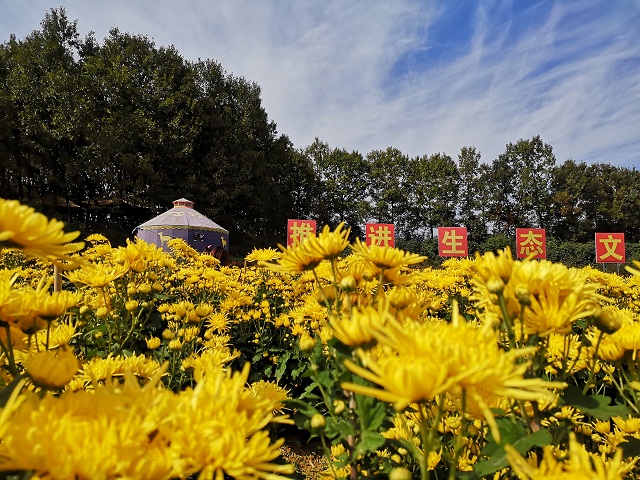 驻马店驿城区蚁蜂镇：倾“特”而动 助力脱贫