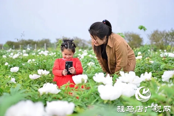 上蔡县班闫村:产业发展“敲开”群众脱贫致富之门