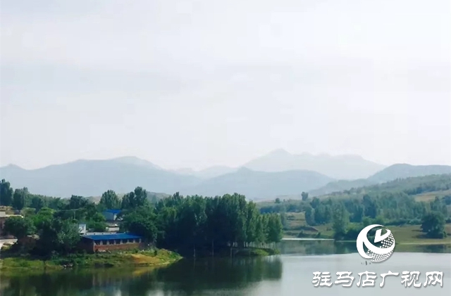 泌阳县王店镇：美丽“香”村闻名四方成为旅游网红打卡地