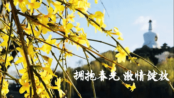 微信图片_20200508152115.gif