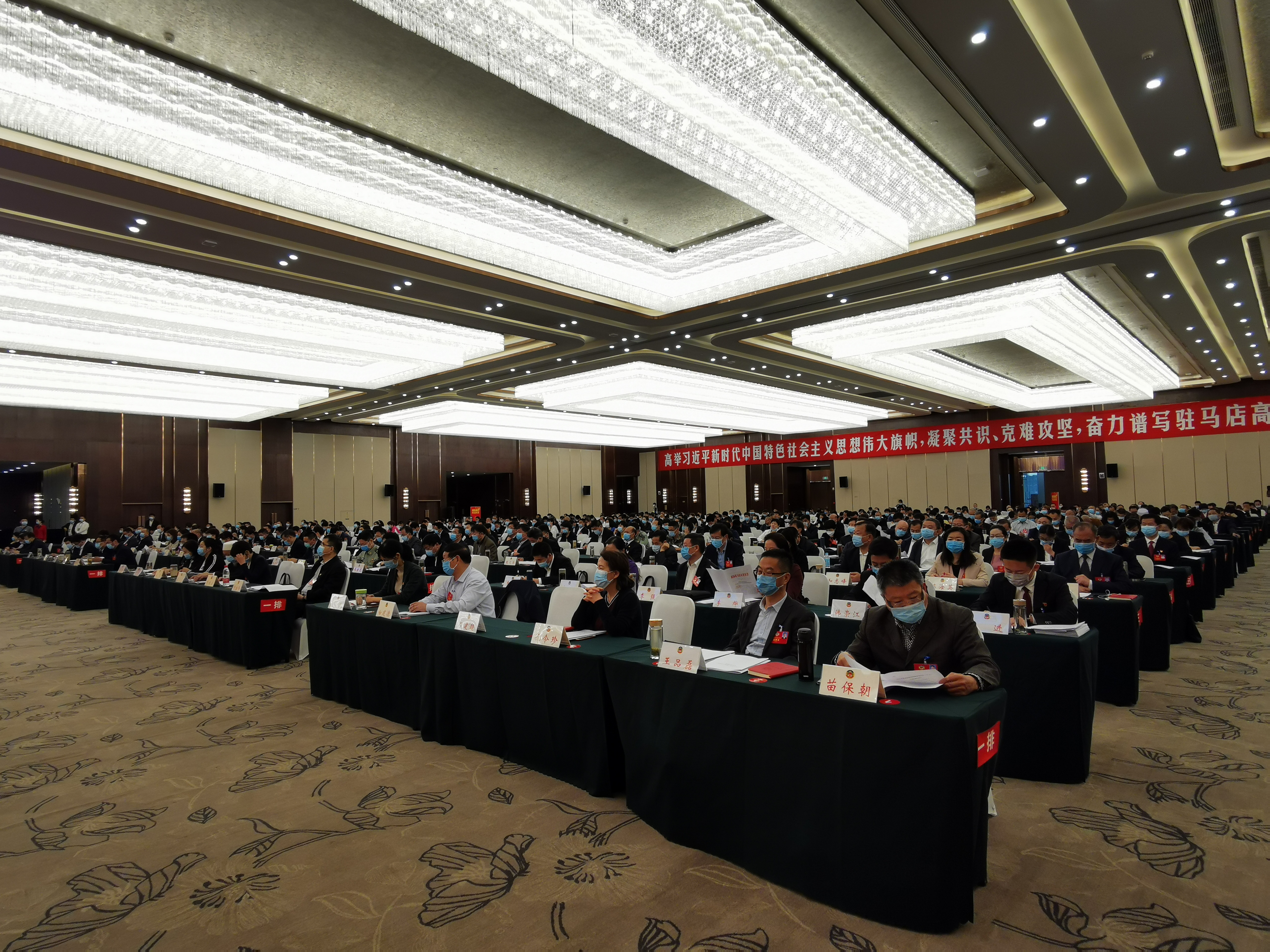 陈星与代表、委员共同审议讨论政府工作报告
