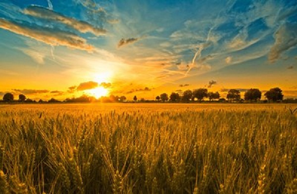 汝南县老君庙镇： 交流农机跨区作业经验 备战三夏