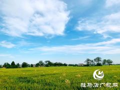 汝南县王岗镇朱庄村：这里和城里没两样