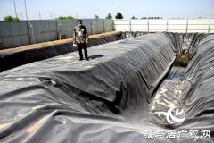 汝南县古塔街道：这里的养猪场不再脏