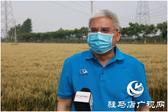 驿城区水屯镇：麦田观摩 预定“丰收”