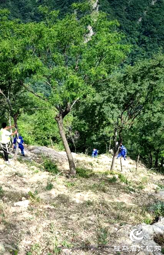  泌阳：蓝天救援成功搜救两名遇险驴友