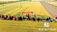 重磅！麦熟宝，惊艳亮相！2020年北沃农业再出大招！