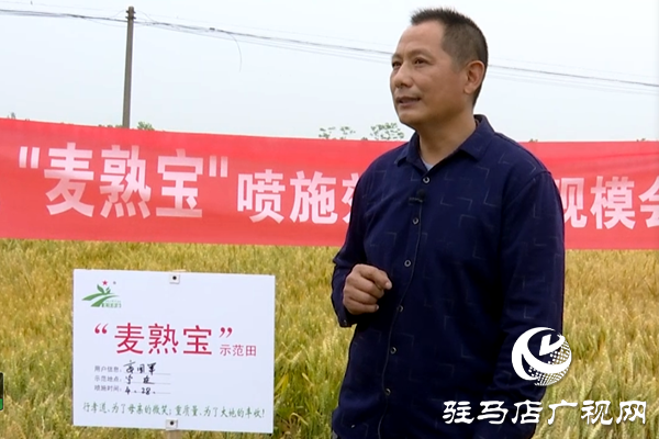 重磅！麦熟宝，惊艳亮相！2020年北沃农业再出大招！