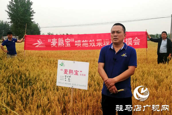 重磅！麦熟宝，惊艳亮相！2020年北沃农业再出大招！