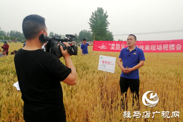 重磅！麦熟宝，惊艳亮相！2020年北沃农业再出大招！