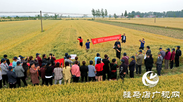 重磅！麦熟宝，惊艳亮相！2020年北沃农业再出大招！