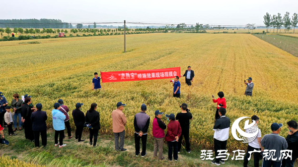 重磅！麦熟宝，惊艳亮相！2020年北沃农业再出大招！