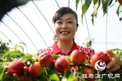 党员为农产品代言，政协助力脱贫攻坚