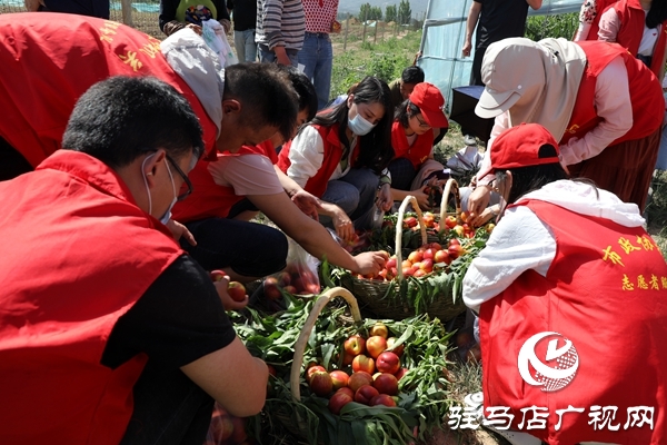 党员为农产品代言，政协助力脱贫攻坚 