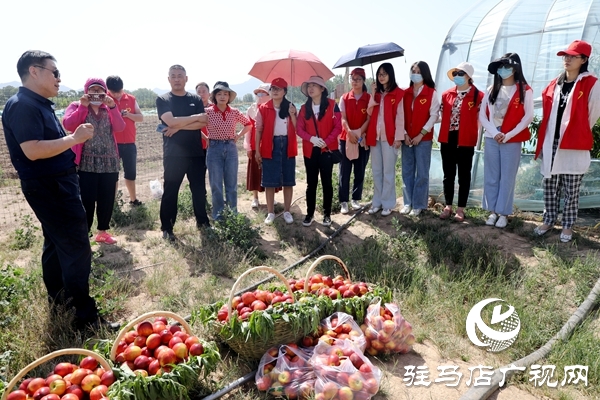 党员为农产品代言，政协助力脱贫攻坚 