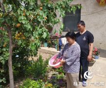 贫困户张桂芝：俺家杏子熟了，要请韩书记来做客