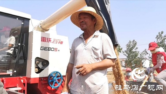 天福、新地花生集团助农收麦忙 三夏时节确保颗粒归仓