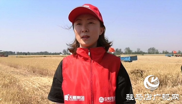 天福、新地花生集团助农收麦忙 三夏时节确保颗粒归仓