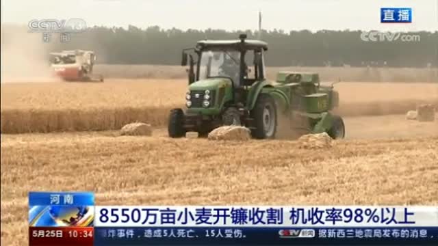 【央视新闻频道聚焦驻马店】小麦开镰收割 机收率98%以上