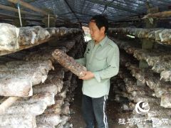 贫困户李俊堂：大病救治有依靠 种植香菇奔富路