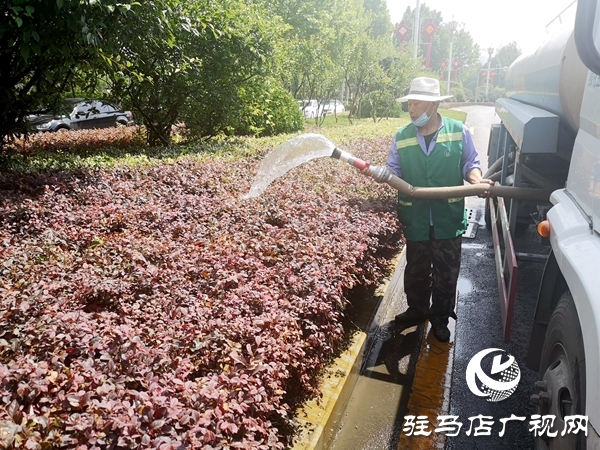 市园林绿化中心出动十余辆水车为绿化带“消暑解渴”