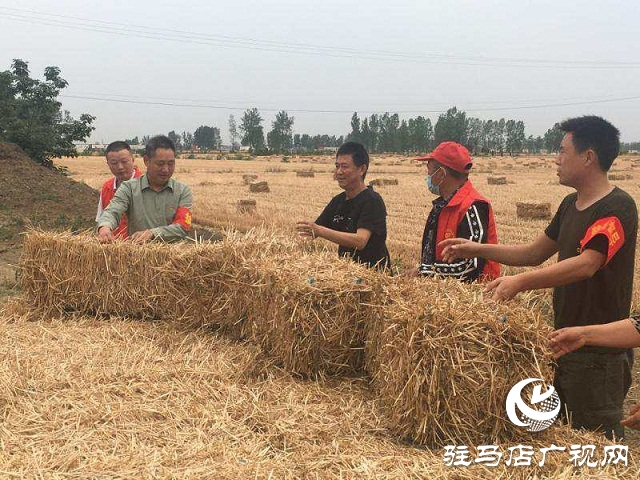 正阳县兰青乡：禁烧“战场”，党员在前
