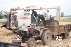 汝南县古塔街道小麦喜获丰收