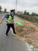正阳县交通运输执法局为“三夏”公路畅通保驾护航