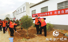  开发区深入推进绿化建设​    助力创建生态园林城市