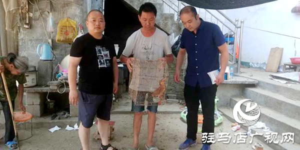 小鸟路边受伤  好心村民帮助