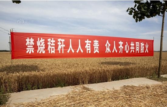 汝南县三桥镇：筑牢禁烧防火墙