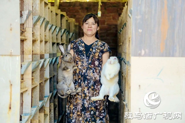 泌阳养殖户陈宏伟：就想让乡亲们有钱赚 有事做