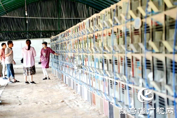 泌阳养殖户陈宏伟：就想让乡亲们有钱赚 有事做