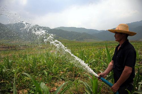 河南6月5日17时启动Ⅳ级水旱灾害应急响应