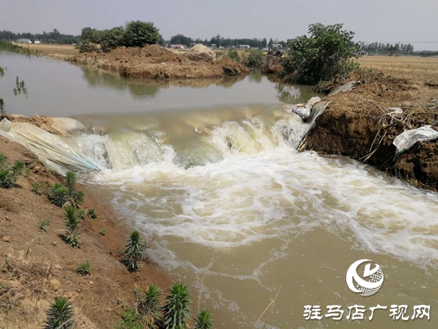 汝南县邢庄村:筑坝截水、疏通沟渠，抗旱抢种保“三夏”