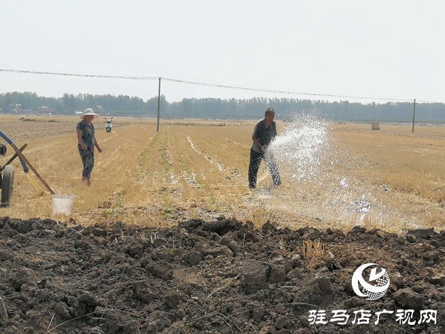 汝南县邢庄村:筑坝截水、疏通沟渠，抗旱抢种保“三夏”