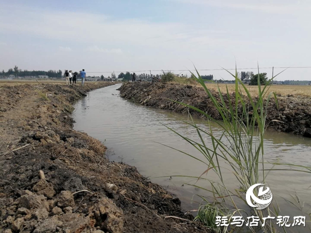 汝南县邢庄村:筑坝截水、疏通沟渠，抗旱抢种保“三夏”