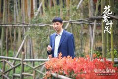 有趣有梗接地气 《花繁叶茂》解锁扶贫剧新方向
