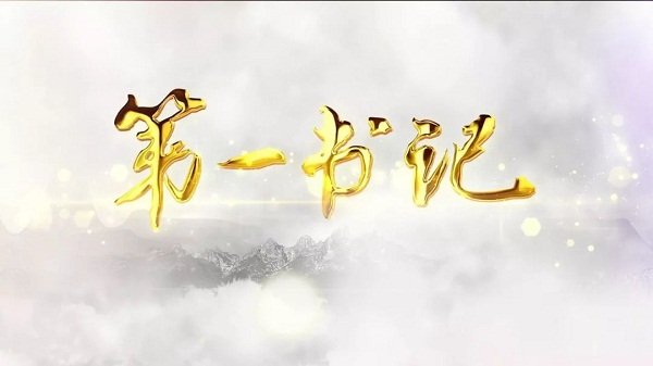 第一书记陈佳：让万庄村焕然一新