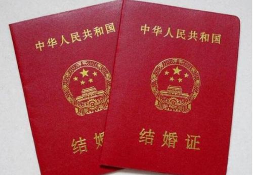全国首创！义乌：婚前将可查对方是否存在家暴记录