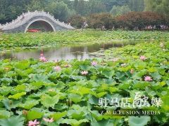 驻马店：生态园林城——以绿荫城