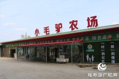 平舆县李屯镇小毛驴农场让你体验水上狂欢清凉一夏