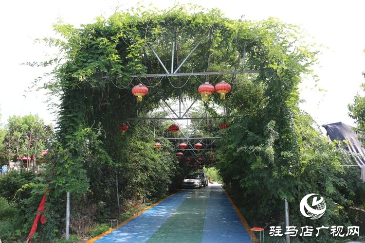 平舆县李屯镇小毛驴农场让你体验水上狂欢清凉一夏