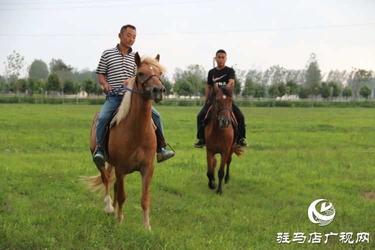 平舆县李屯镇小毛驴农场让你体验水上狂欢清凉一夏