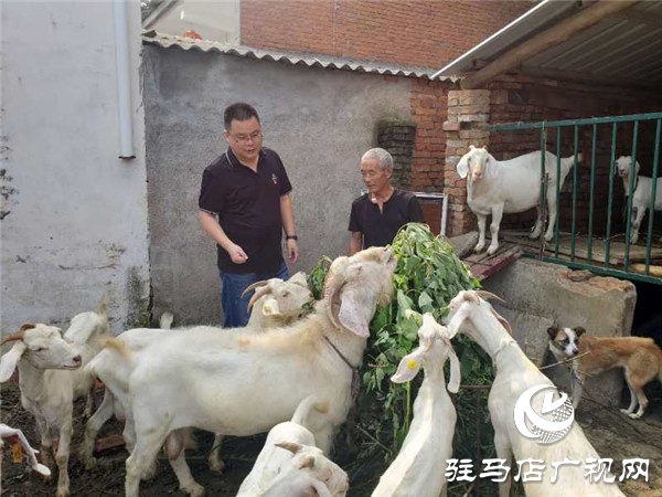 脱贫攻坚乡村振兴相衔接 实现高质量跨越发展