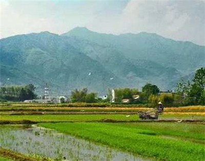一揽子利好举措助力乡村旅游发展