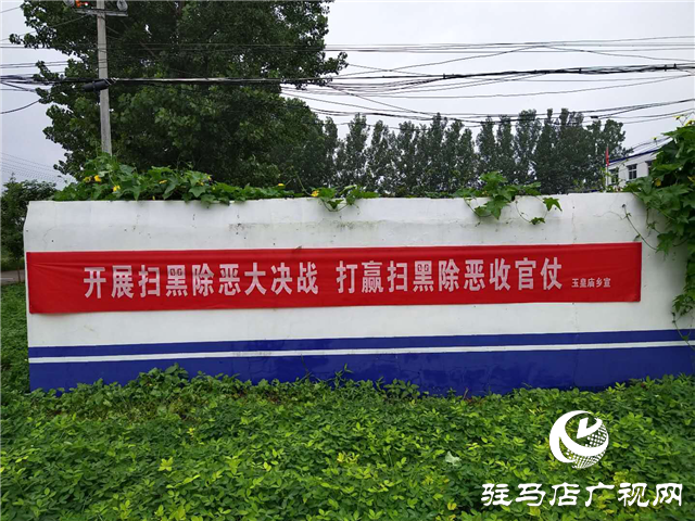 平舆县玉皇庙乡开展防范和处置非法集资宣传活动