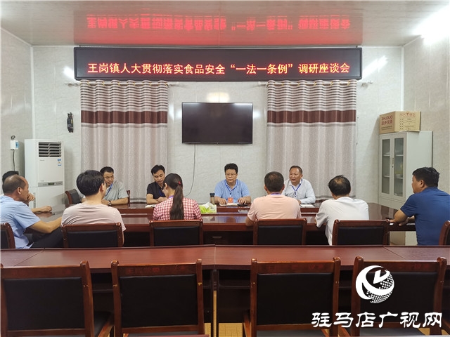 汝南县王岗镇人大开展食品安全“一法一条例”执法检查